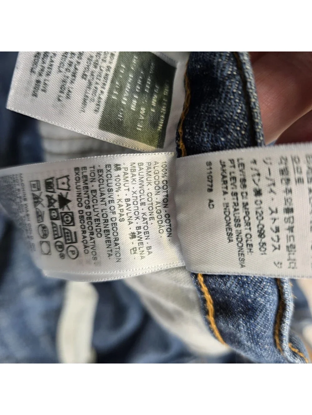 Levis levi 559